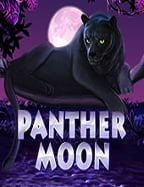 แทง บอล ออนไลน์ ท รู วอ ล เล็ ตคูปอง sagame88: วิธีเล่นที่ควรรู้